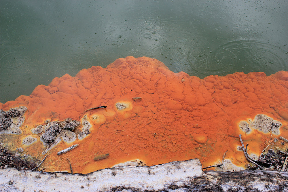 Orange Algen in heißer Quelle - Tolle Fotos von Neuseelands vielfältiger Landschaft und Flora und Fauna vom Fotografen und Grafikdesigner Markus Wülbern